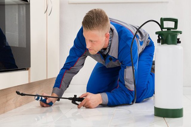 rat control services in hyderabad